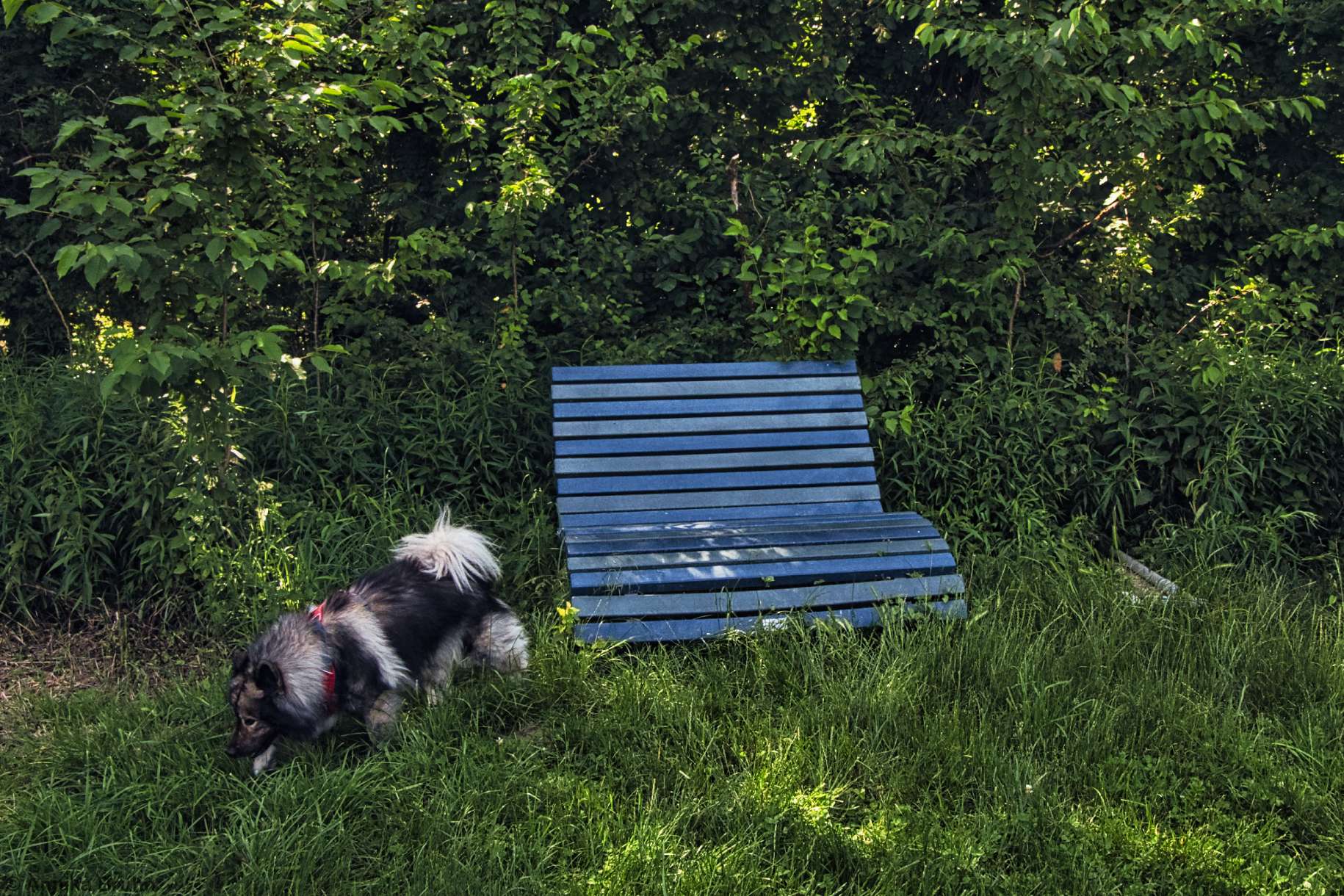 Q hat keine Lust auf eine Pause